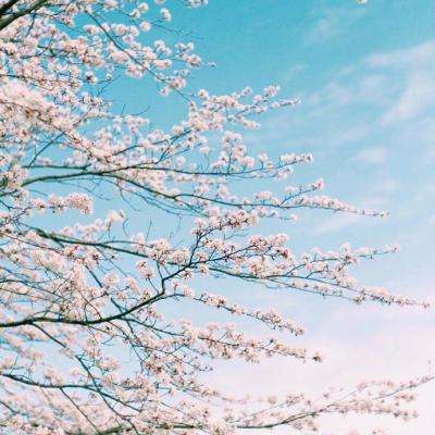 大发黄金版888下载下载手机版